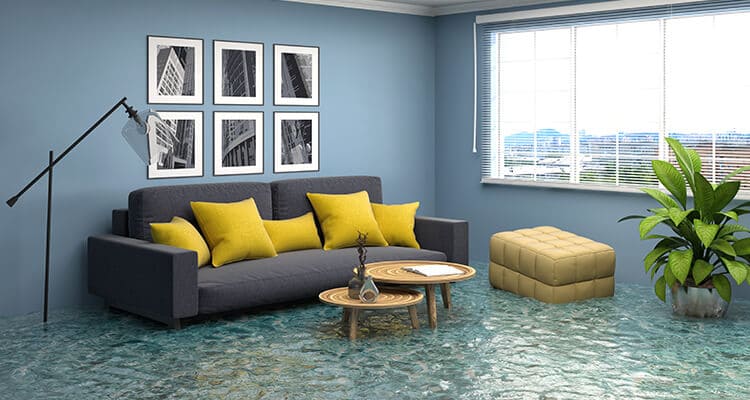 Water Damage Restoration Tampa | 24/7 Emergency Water Removal & Cleanup
