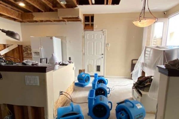 What Does Water Damage Restoration Include?