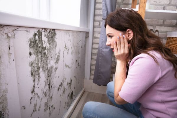 How Long Does Water Damage Restoration Take?